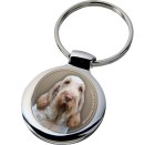spinone_italiano_165-701 